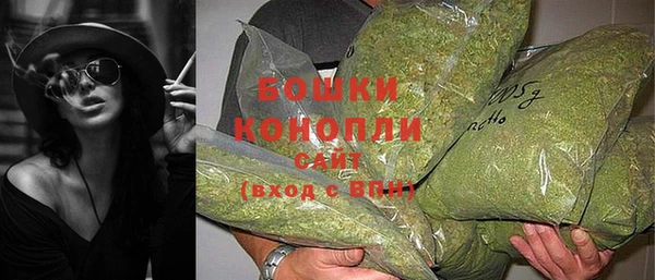 крисы Баксан