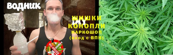 крисы Баксан