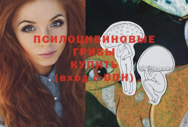 крисы Баксан