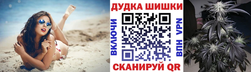 Бошки марихуана план  Могоча 